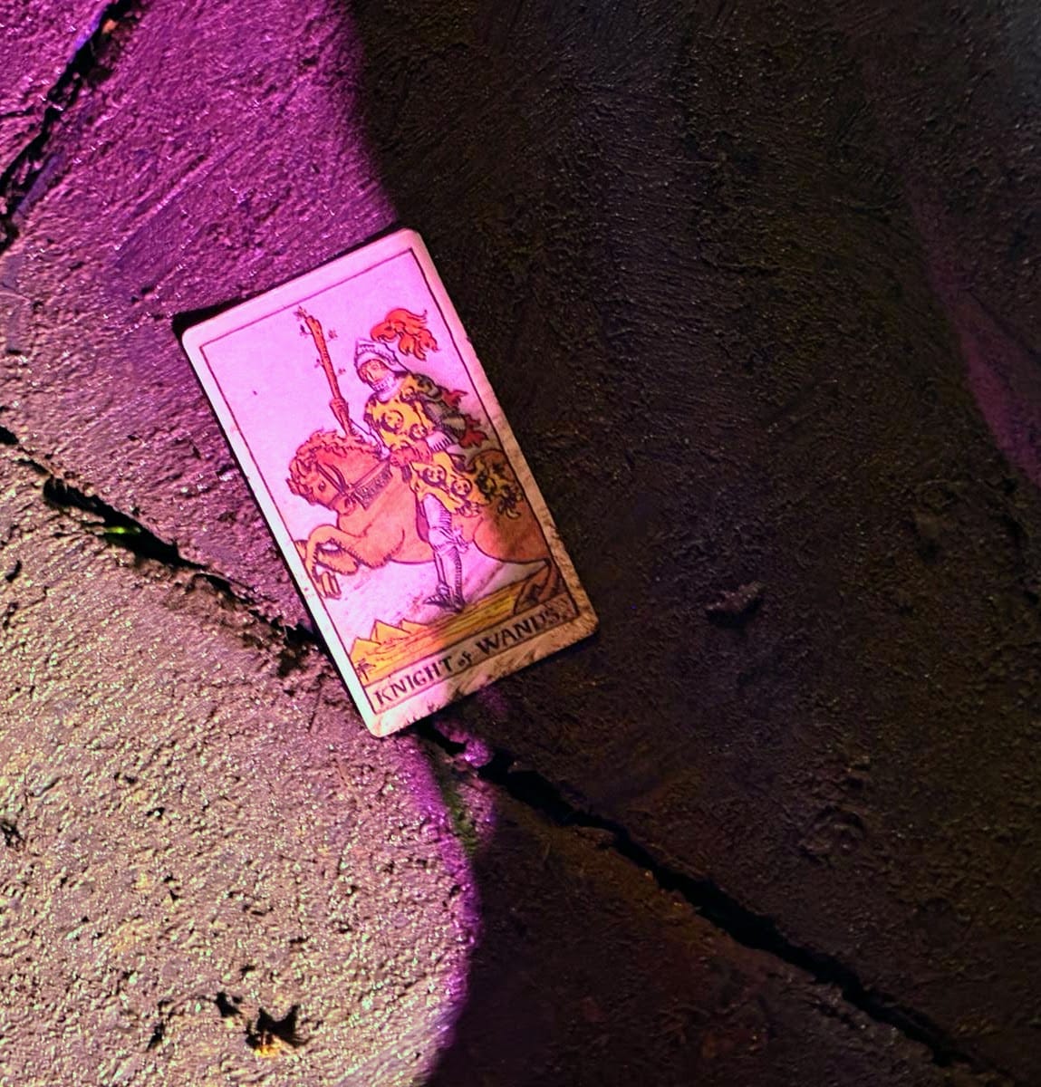 Bier, tarotkaarten en wilde gesprekken: Dicky Woodstock 2025