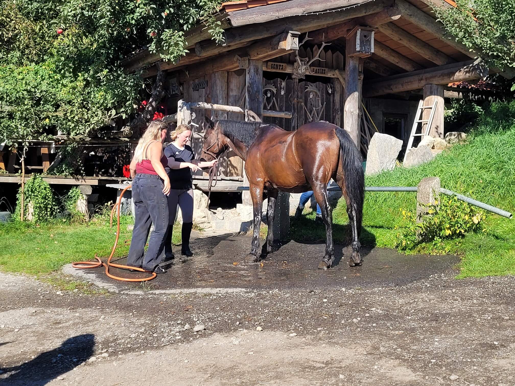 Cowboymodus activated: paardrijden in Duitsland!