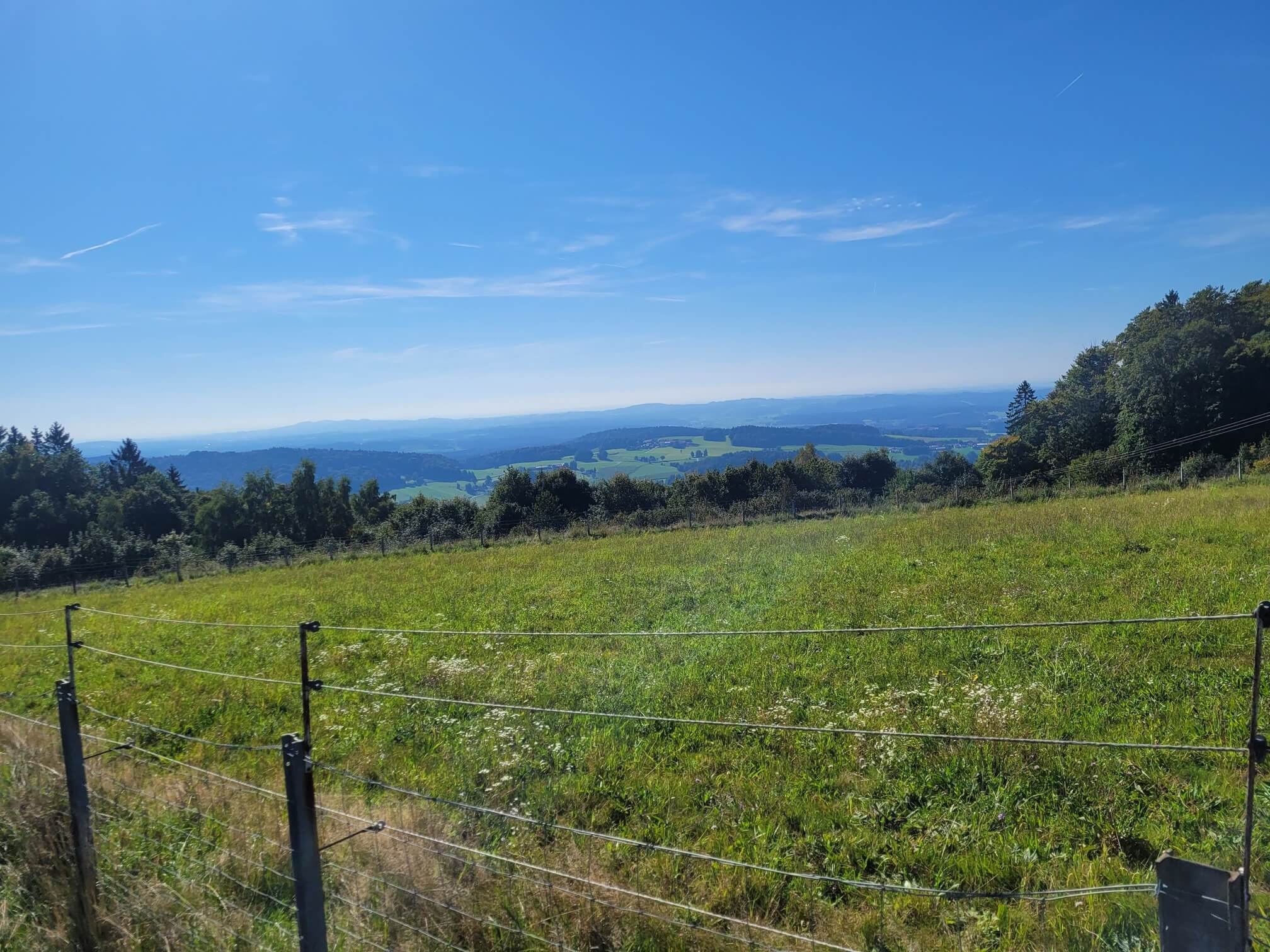 Cowboymodus activated: paardrijden in Duitsland!