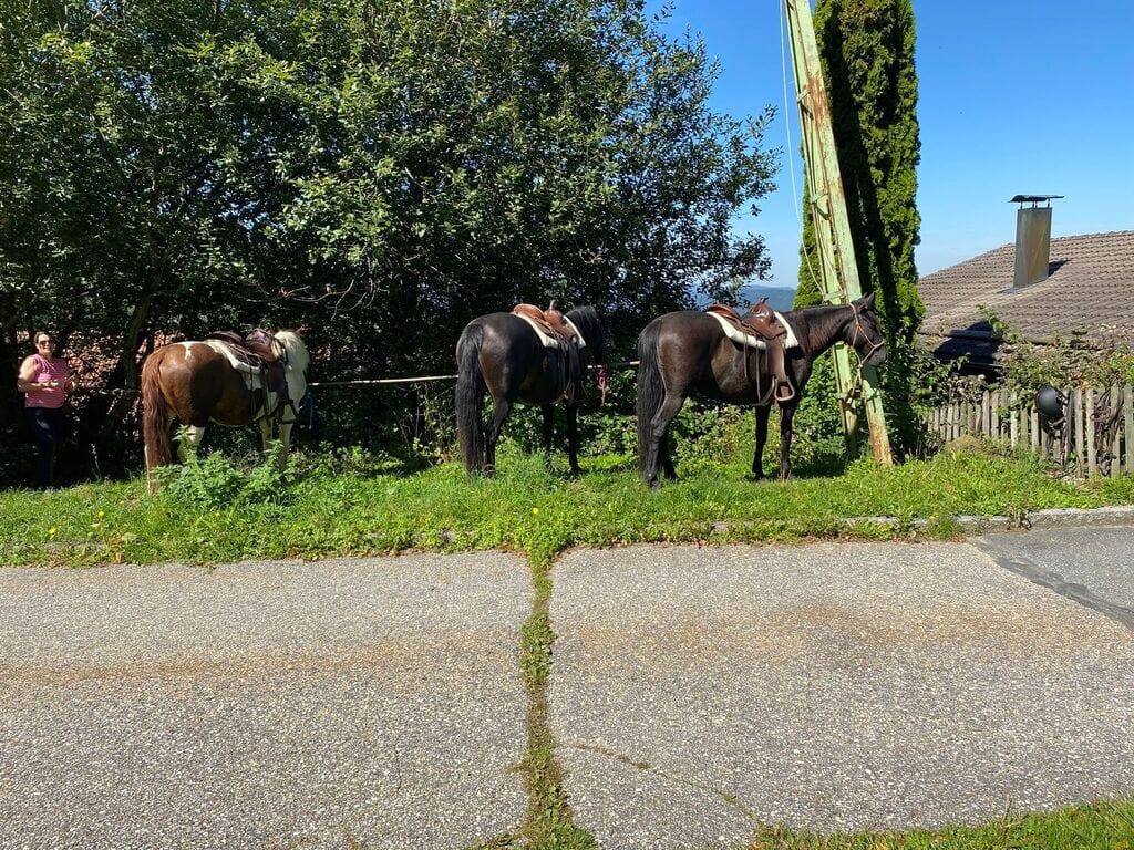 Cowboymodus activated: paardrijden in Duitsland!
