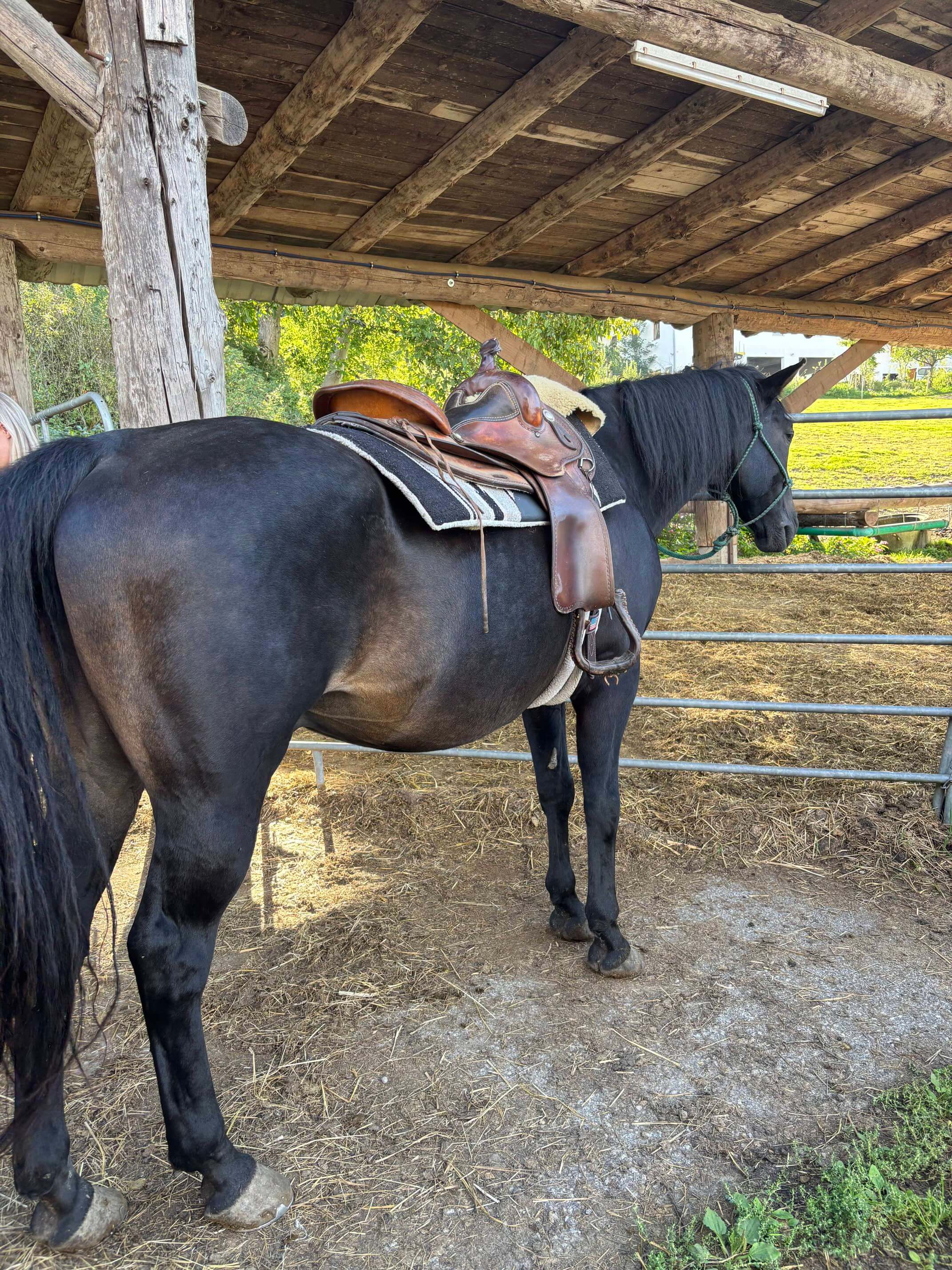 Cowboymodus activated: paardrijden in Duitsland!