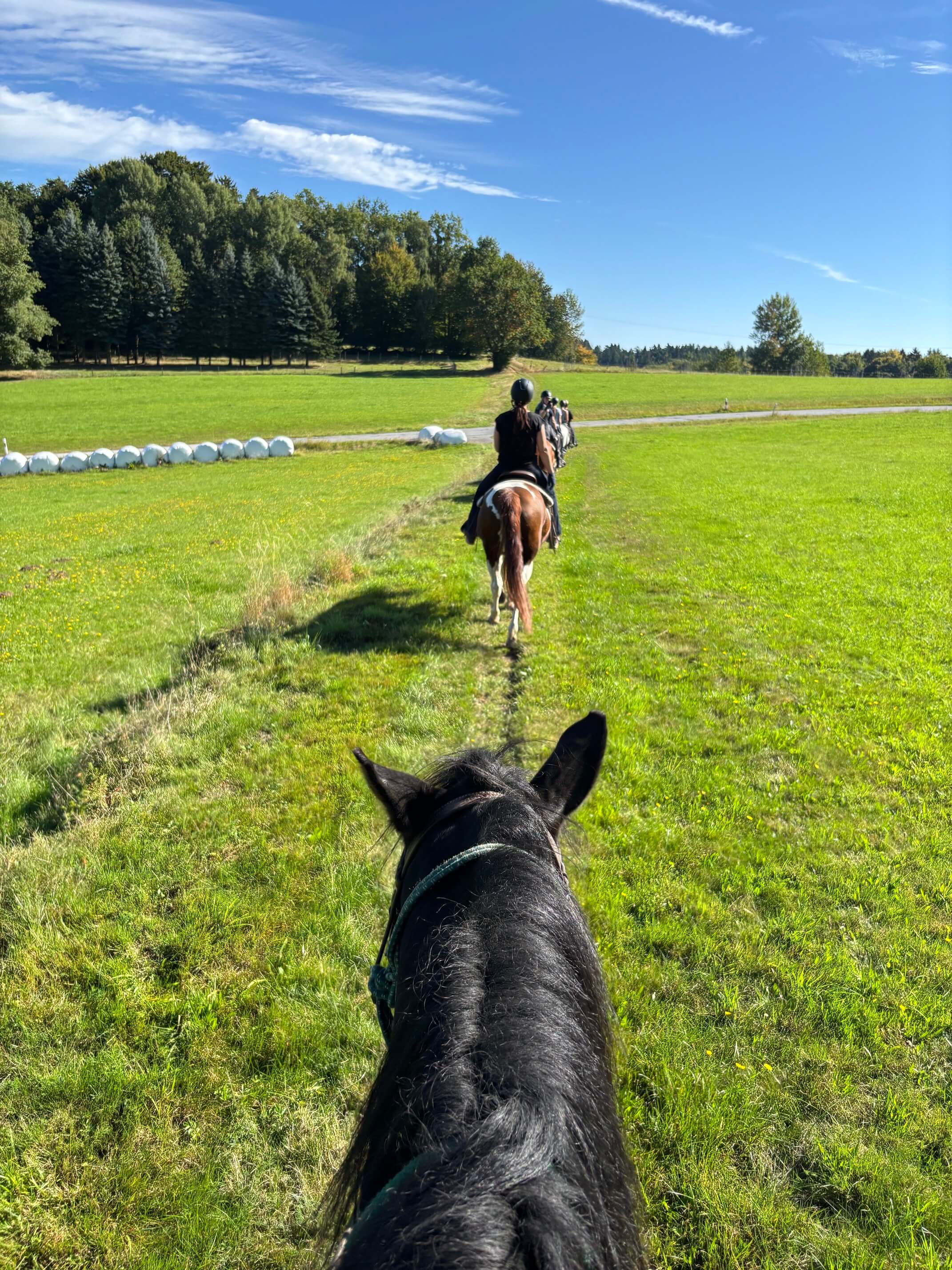Cowboymodus activated: paardrijden in Duitsland!