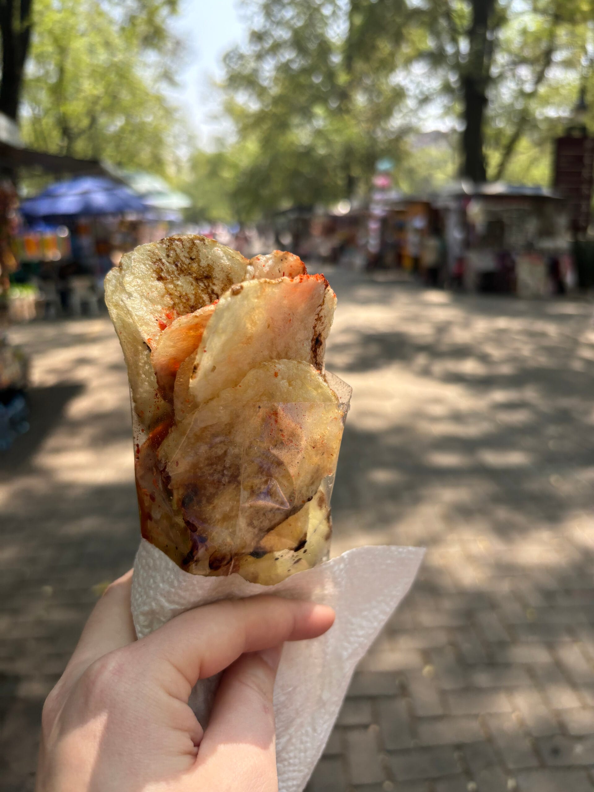 Maaike in Mexico: streetfood, hot springs en Spaans praten als een pro