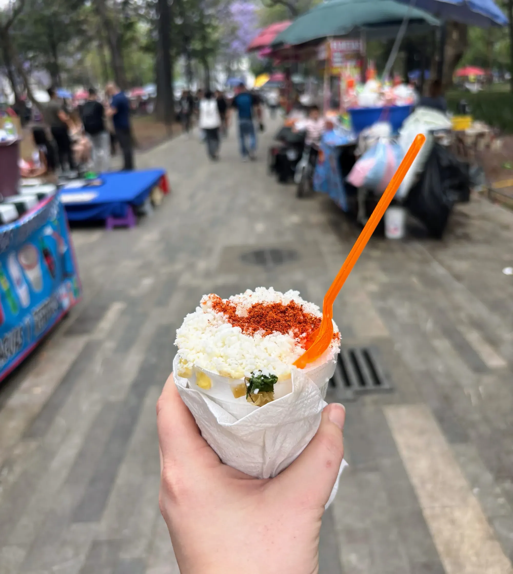 Maaike in Mexico: streetfood, hot springs en Spaans praten als een pro
