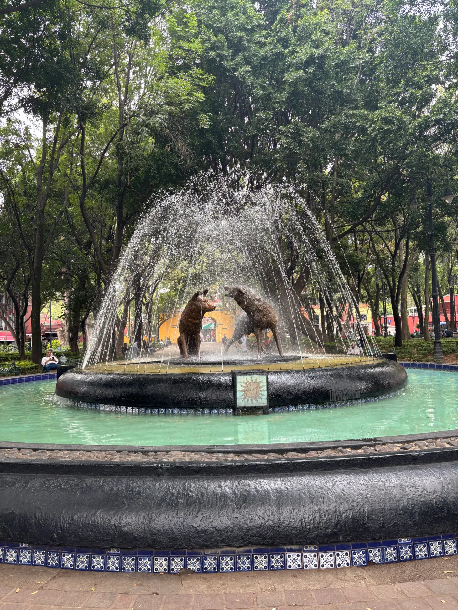 Maaike in Mexico: streetfood, hot springs en Spaans praten als een pro