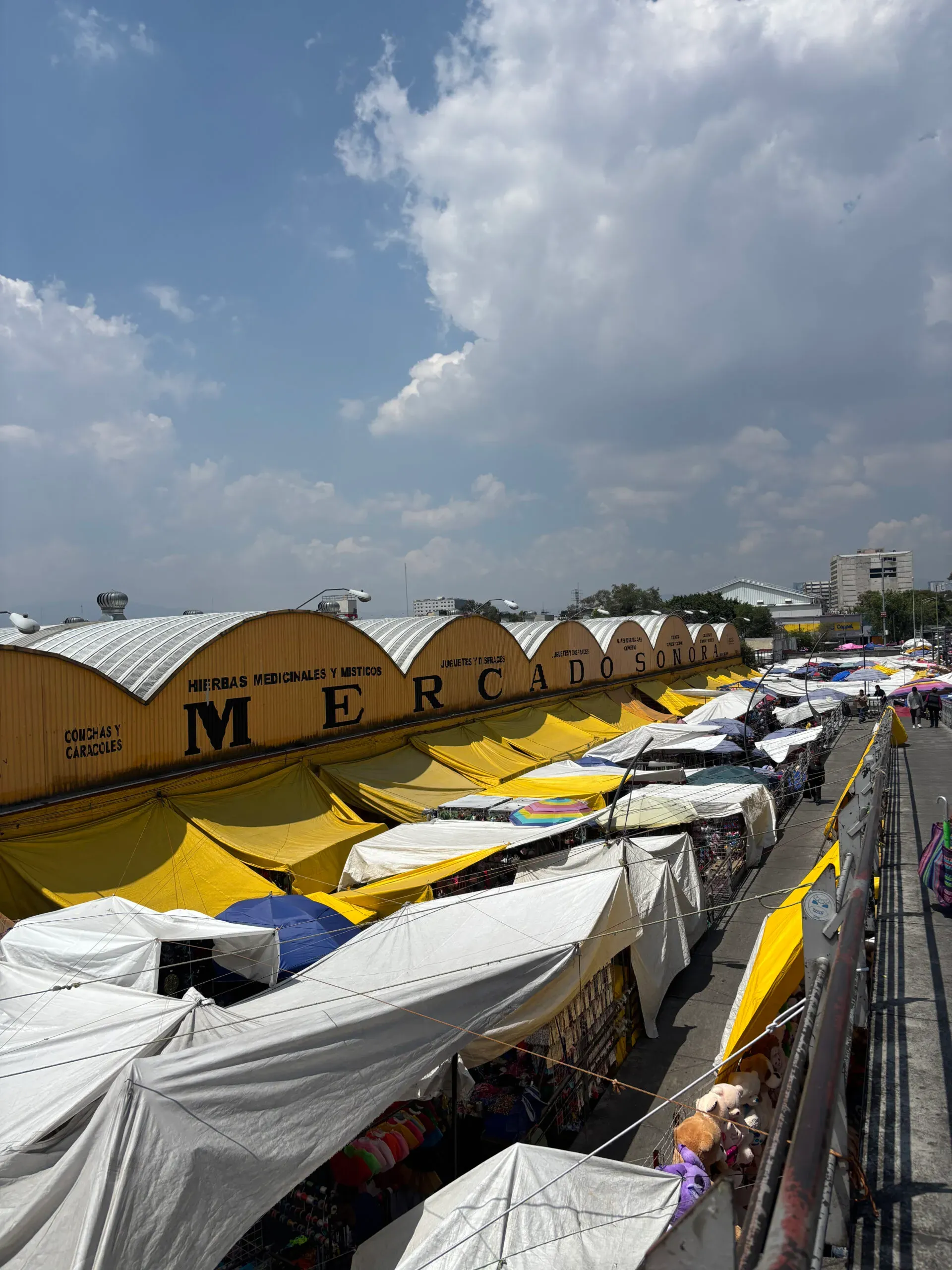 Maaike in Mexico: streetfood, hot springs en Spaans praten als een pro