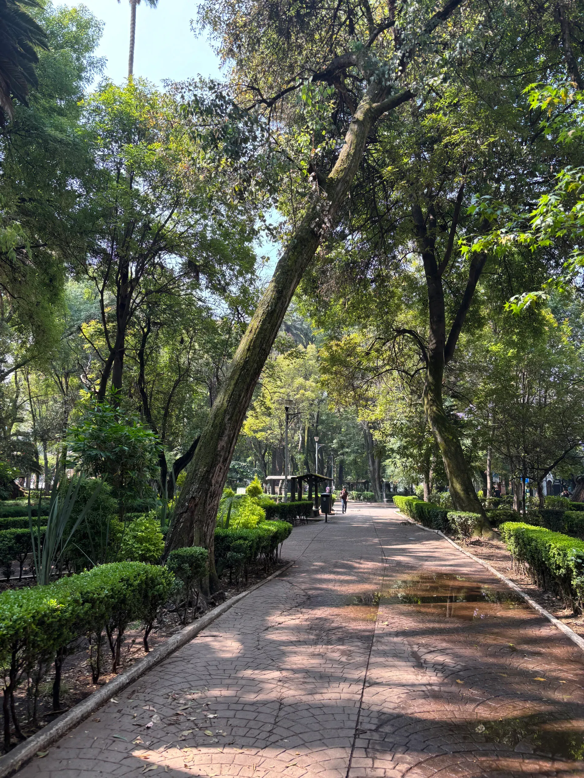 Maaike in Mexico: streetfood, hot springs en Spaans praten als een pro