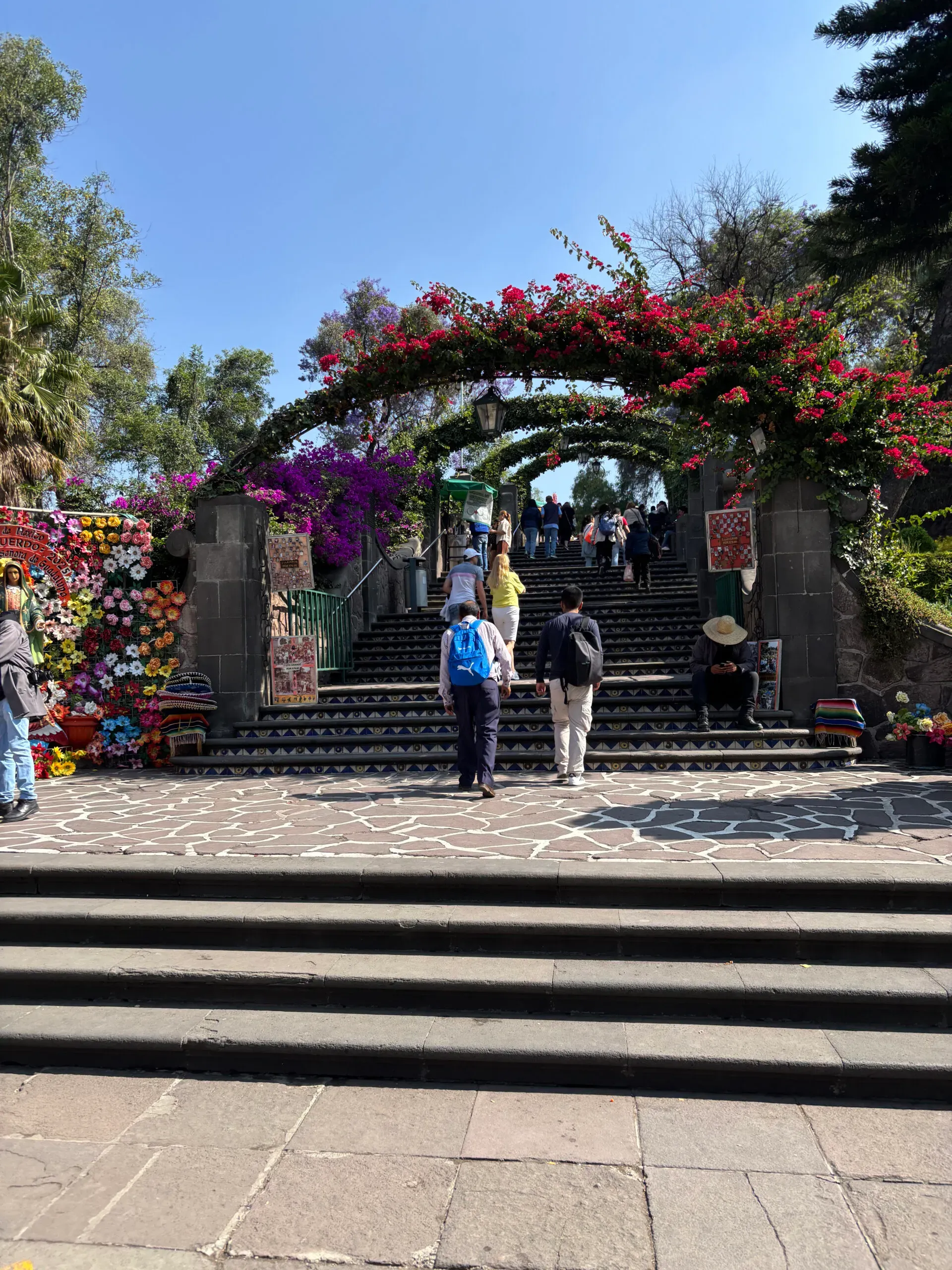 Maaike in Mexico: streetfood, hot springs en Spaans praten als een pro
