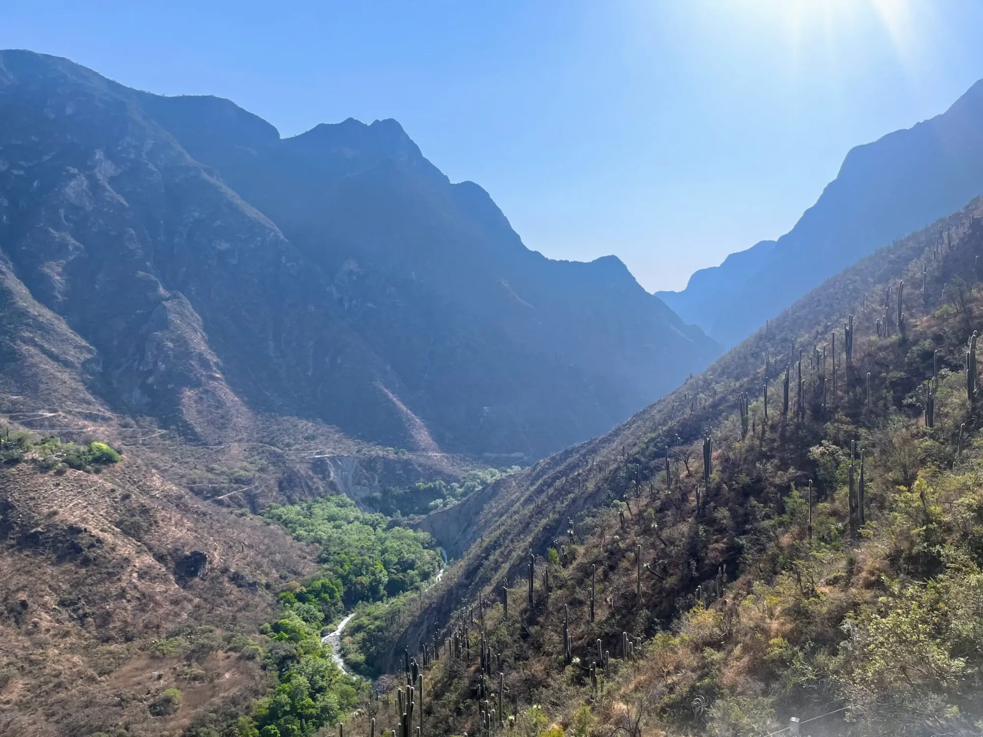 Maaike in Mexico: streetfood, hot springs en Spaans praten als een pro