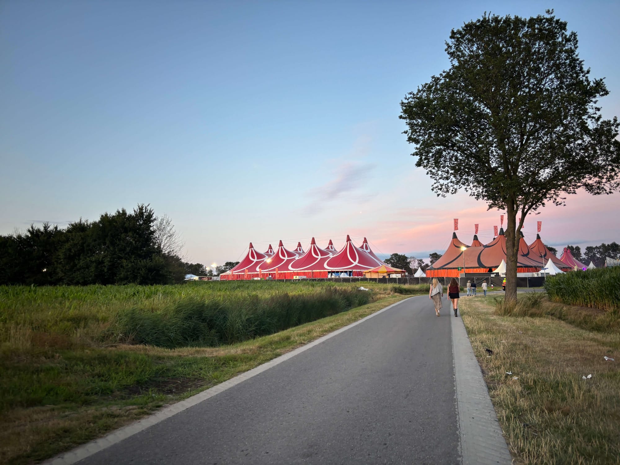 Dicky Woodstock: waar ABBA altijd een goed idee is