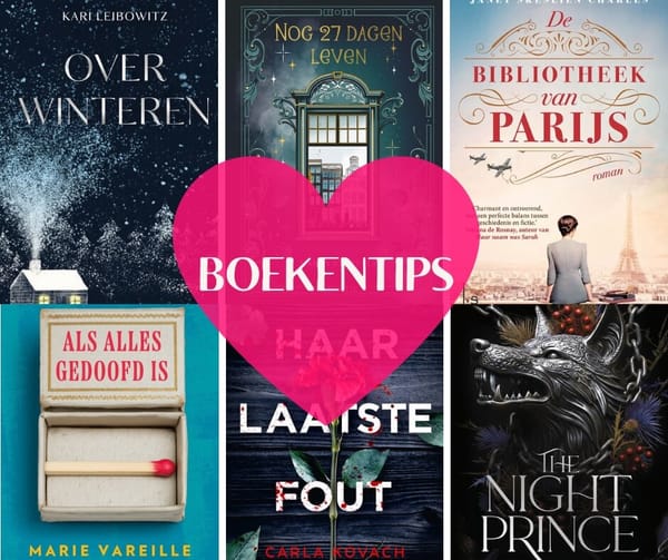 Mijn maand in boeken - januari